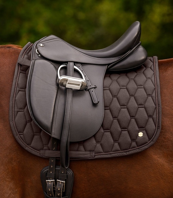 SOTTOSELLA DRESSAGE PHOENIX Sottosella 